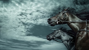 caballos-fondos-de-pantalla-carreras-animales-foto-347552